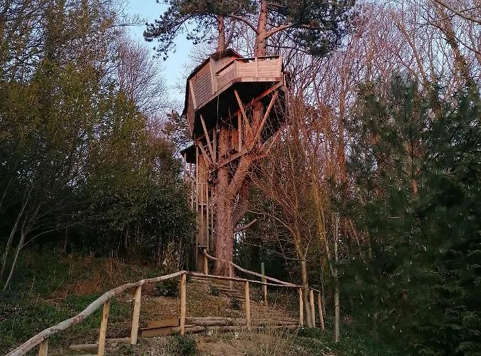 Sherwood Tree