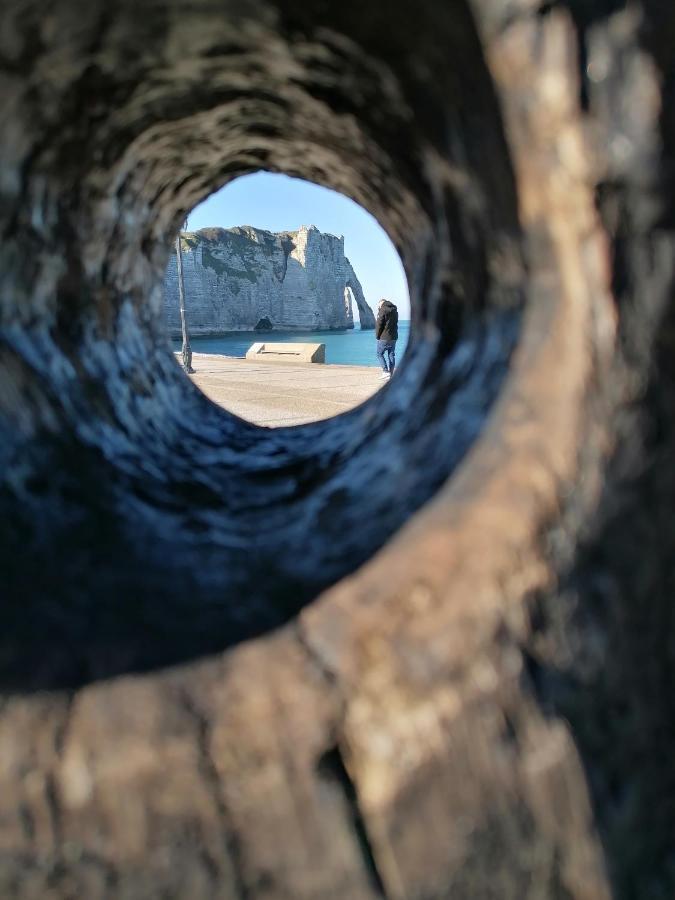 Sherwood Tree Étretat