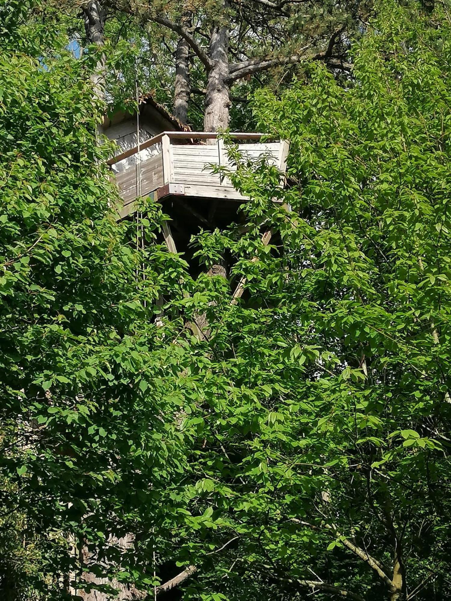 Bed & Breakfast Sherwood Tree *